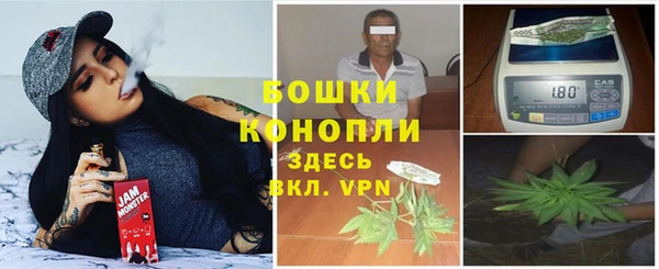 стаф Балахна