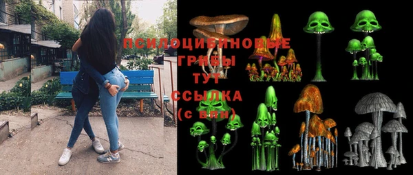 стаф Балахна