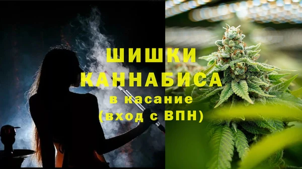 дживик Баксан