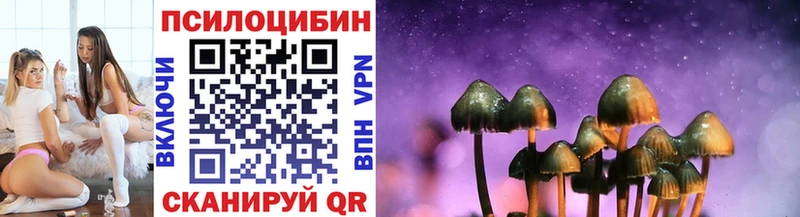 Галлюциногенные грибы Cubensis  закладки  Нахабино 